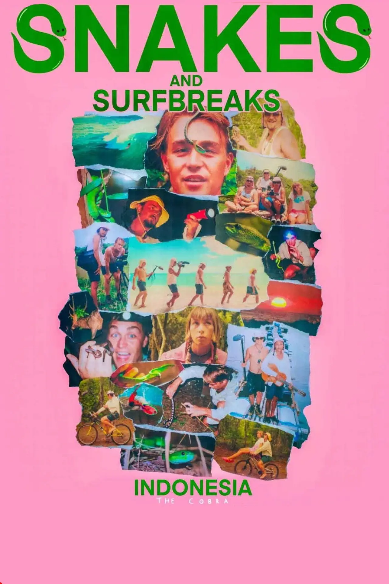 Movie poster "Snakes and Surf Breaks"