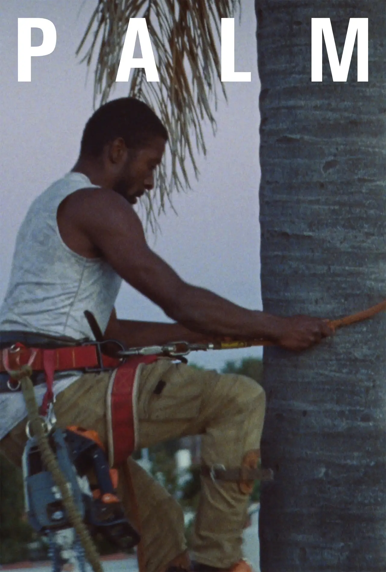 Movie poster "Palm"