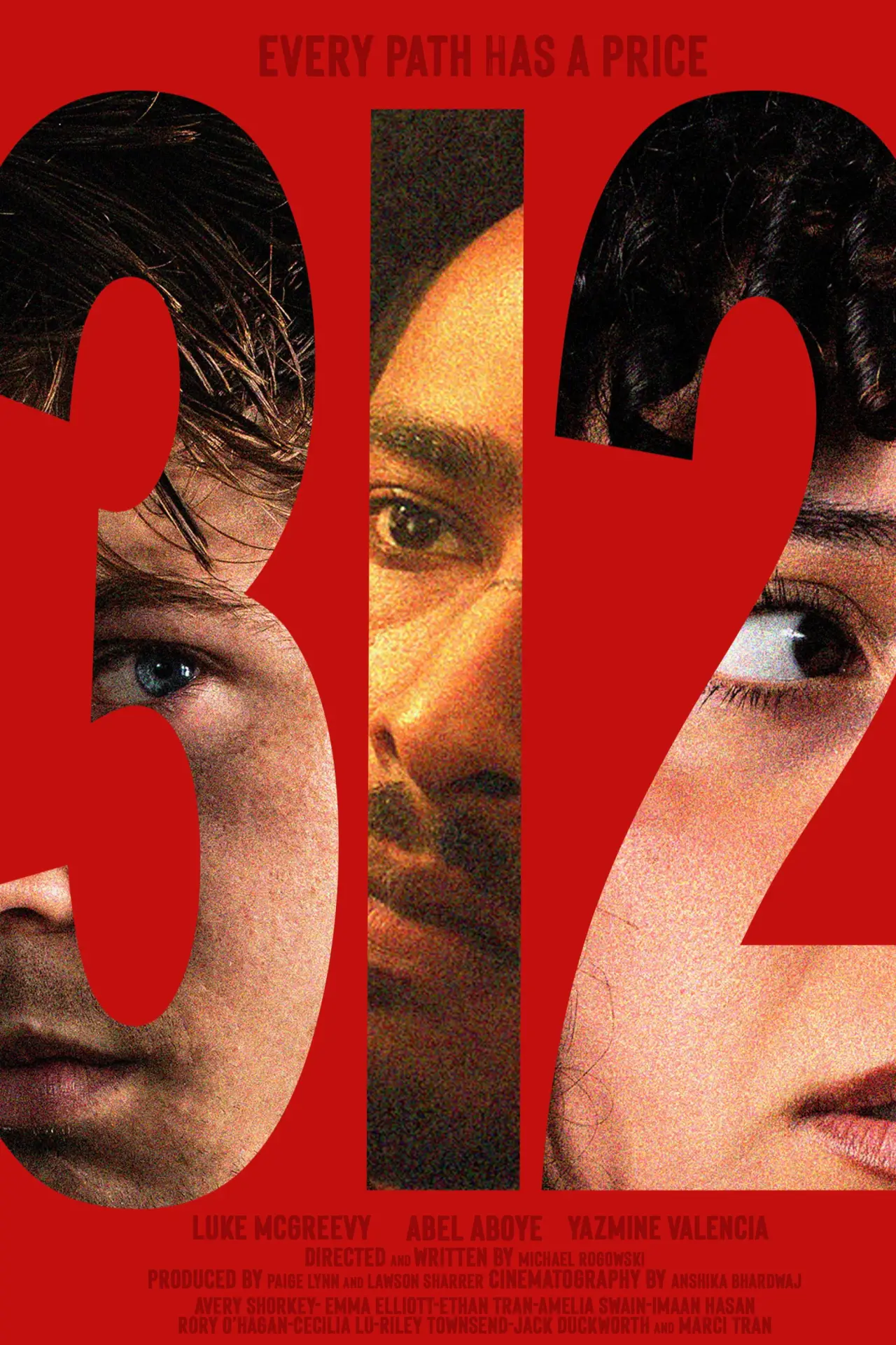 Movie poster "312"
