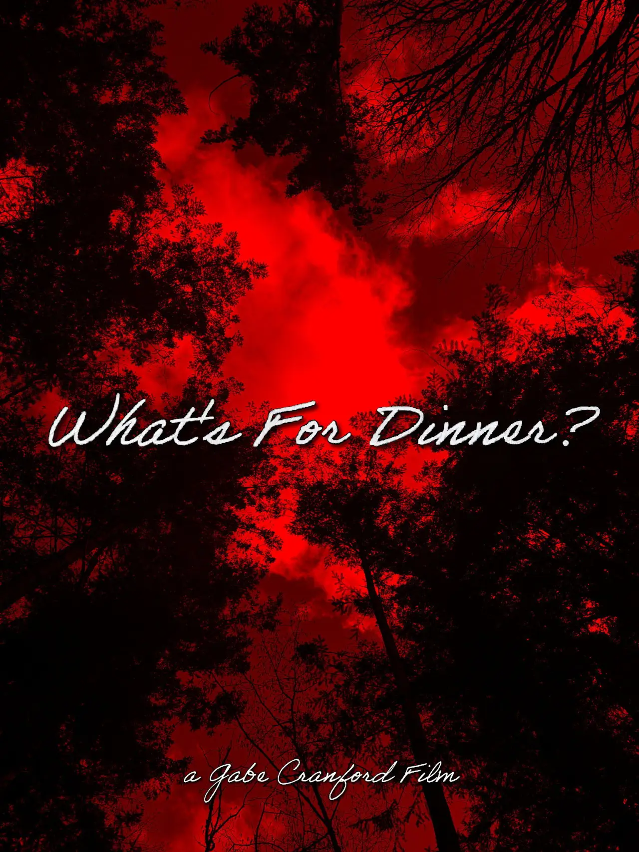 Movie poster "What