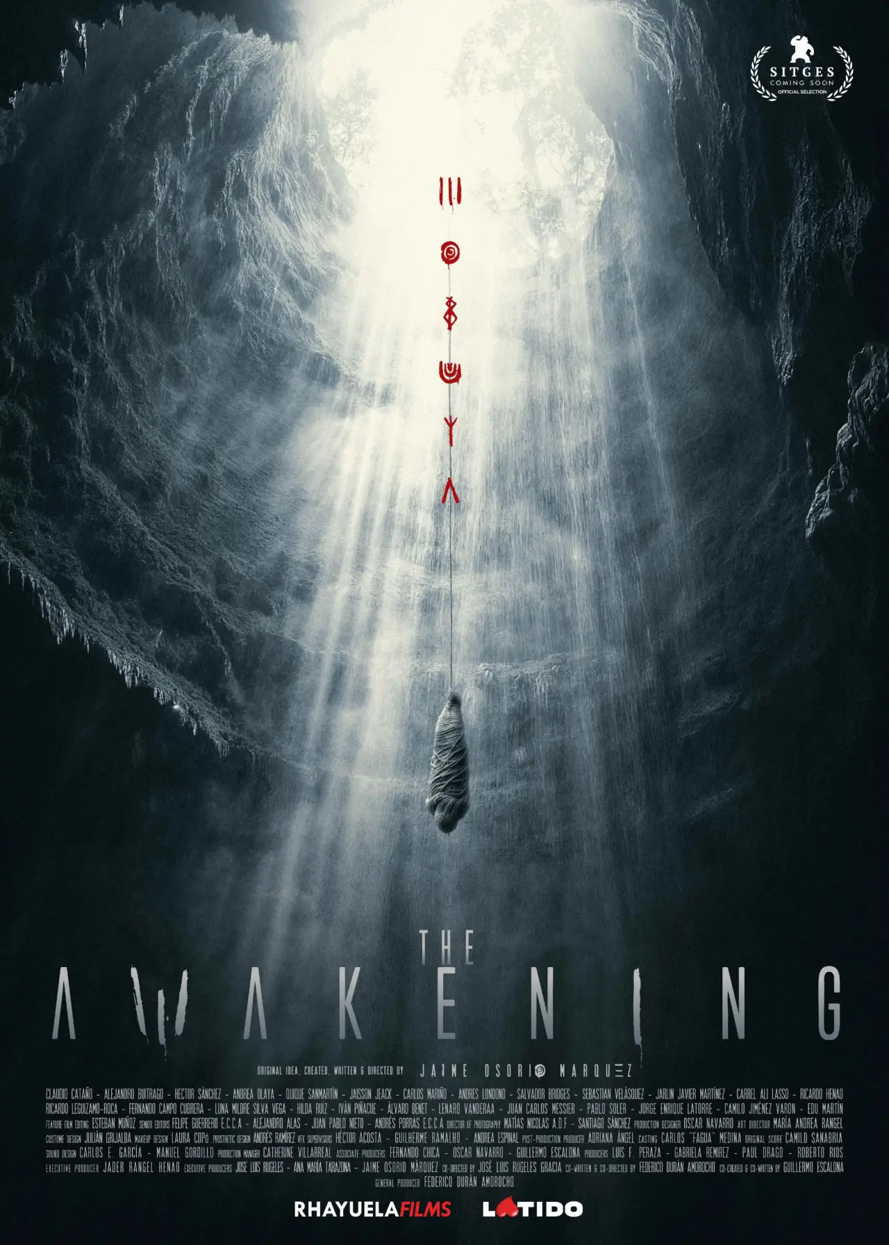 Movie poster "The Awakening"