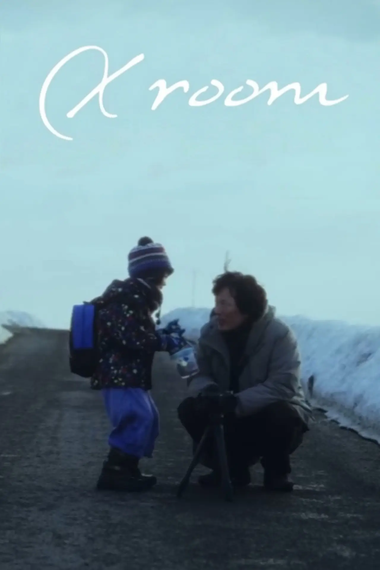 Movie poster "X Room"