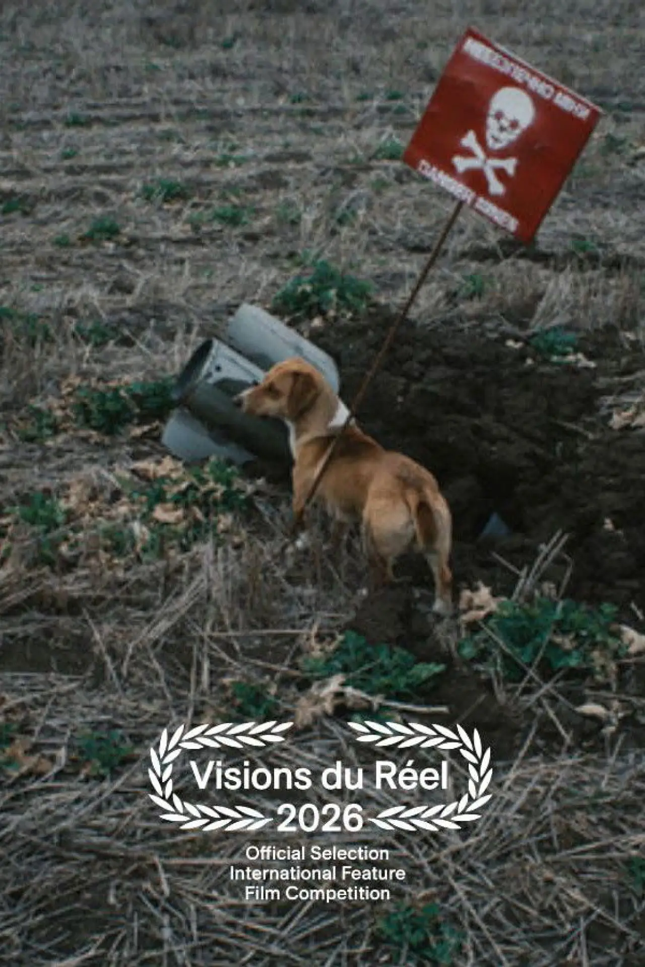 Movie poster "Death in the Making"