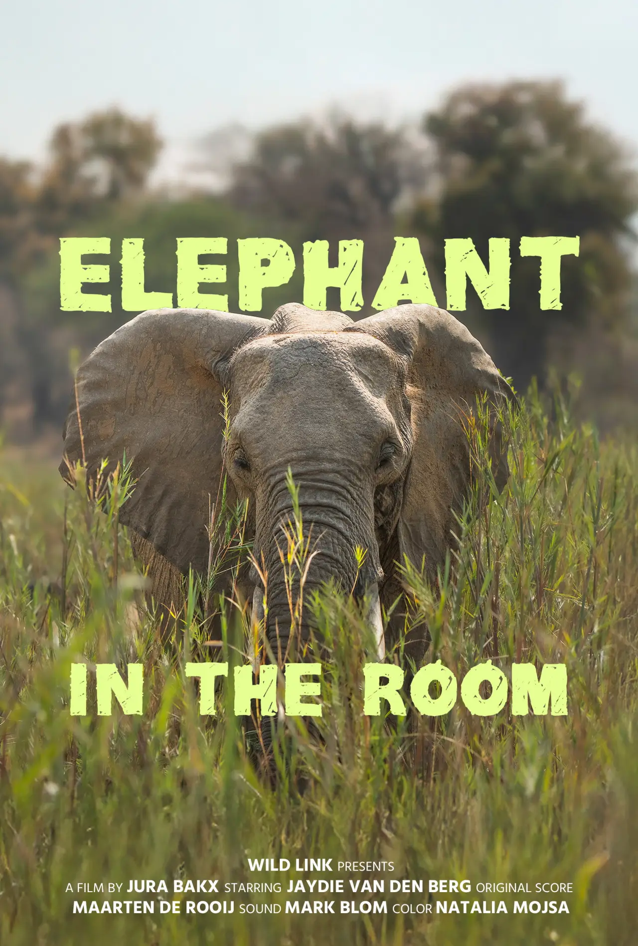 Movie poster "Elephant in the Room"
