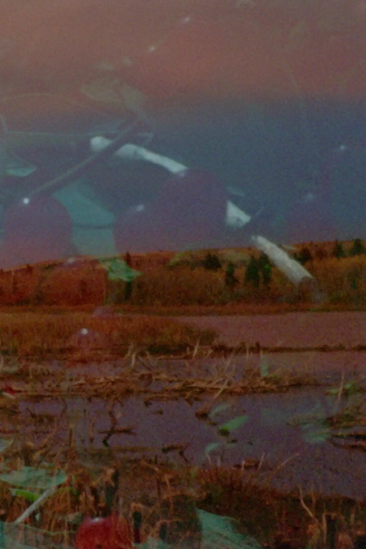 Movie poster "Mounds Above the Earth"
