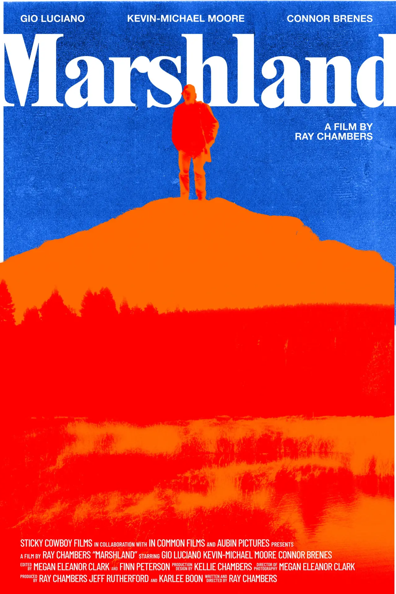 Movie poster "Marshland"