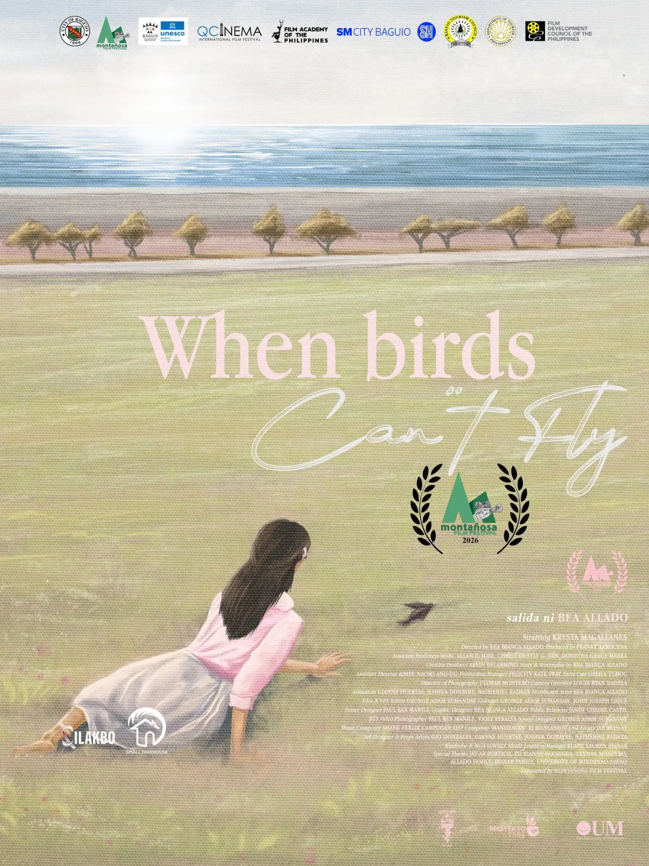 Movie poster "When Birds Can