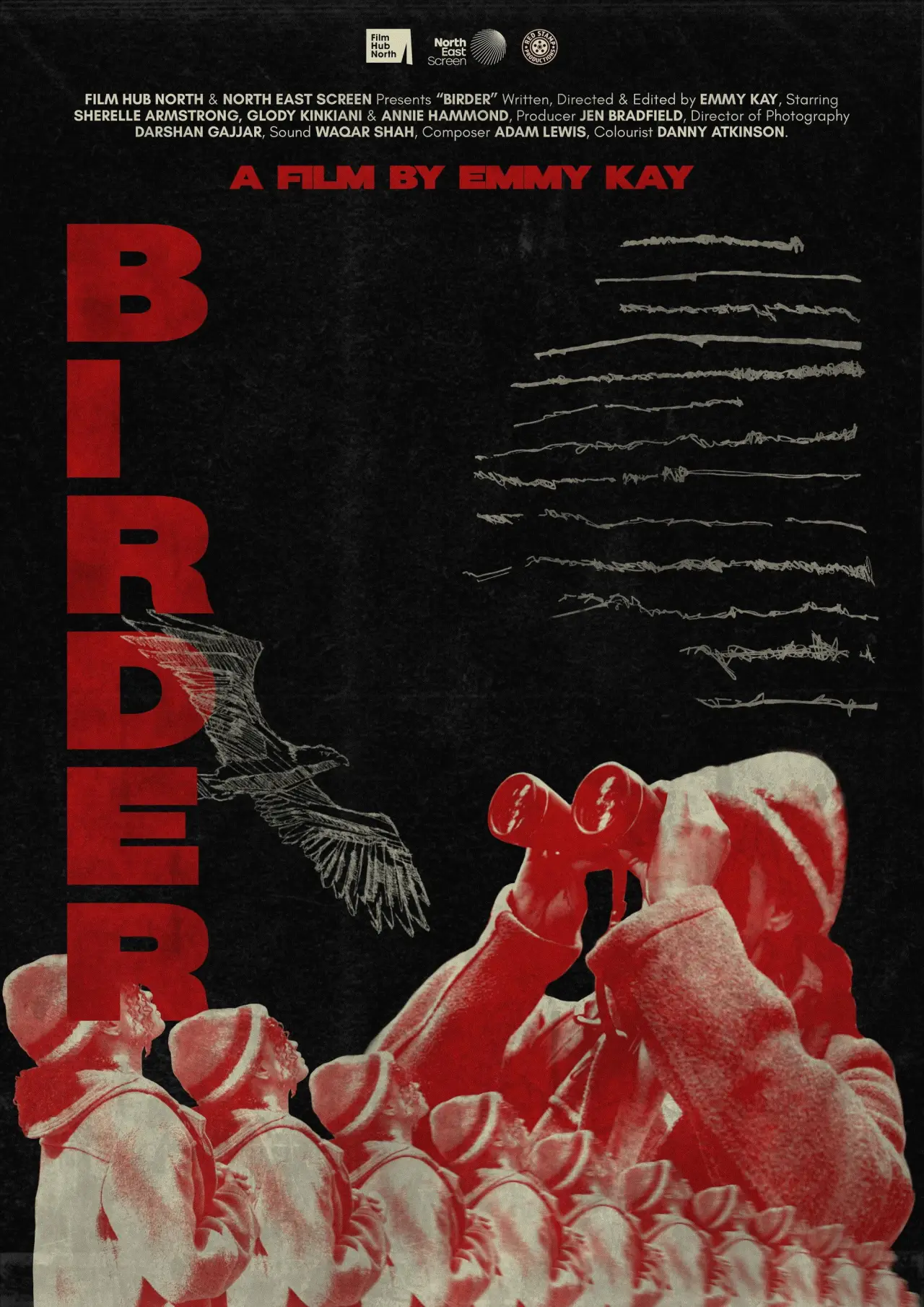 Movie poster "Birder"