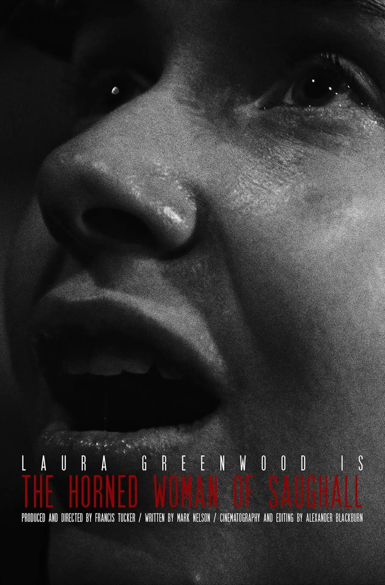 Movie poster "The Horned Woman of Saughall"