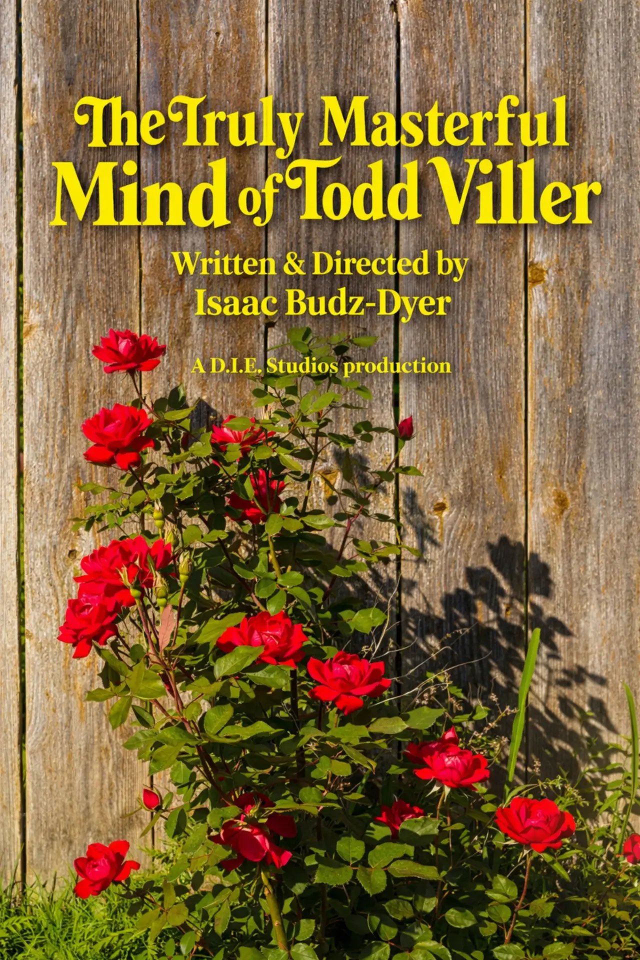 Movie poster "The Truly Masterful Mind of Todd Viller"
