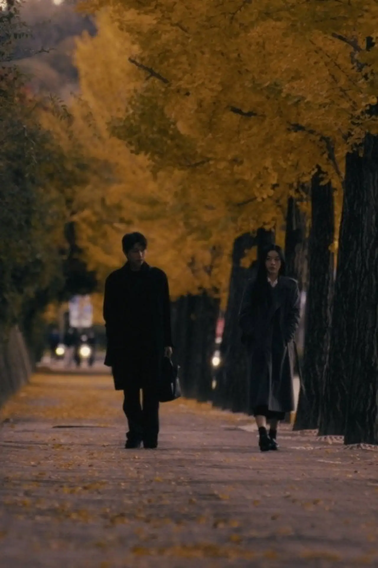 Movie poster "Late Summer Echoes of Love"