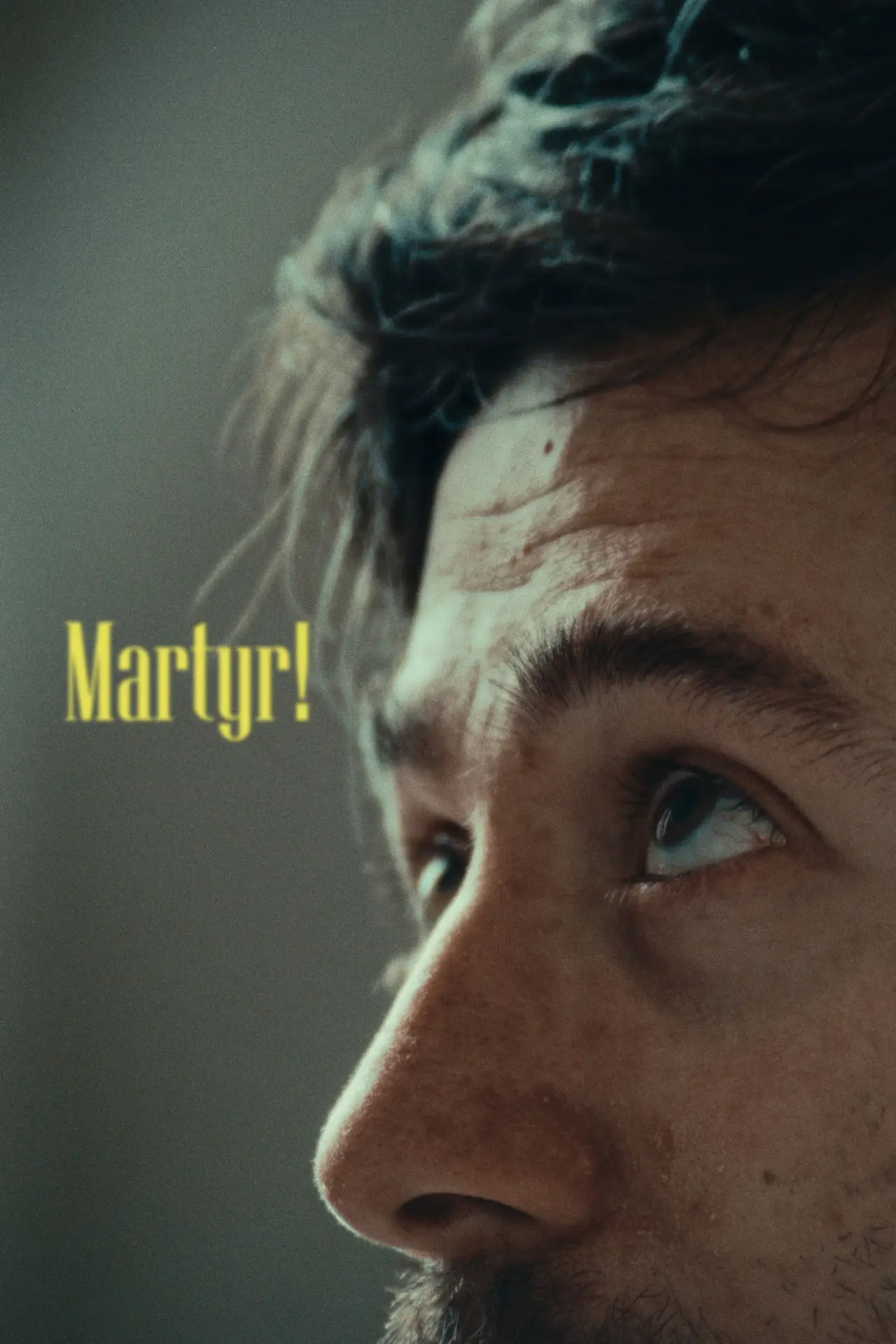 Movie poster "Martyr!"