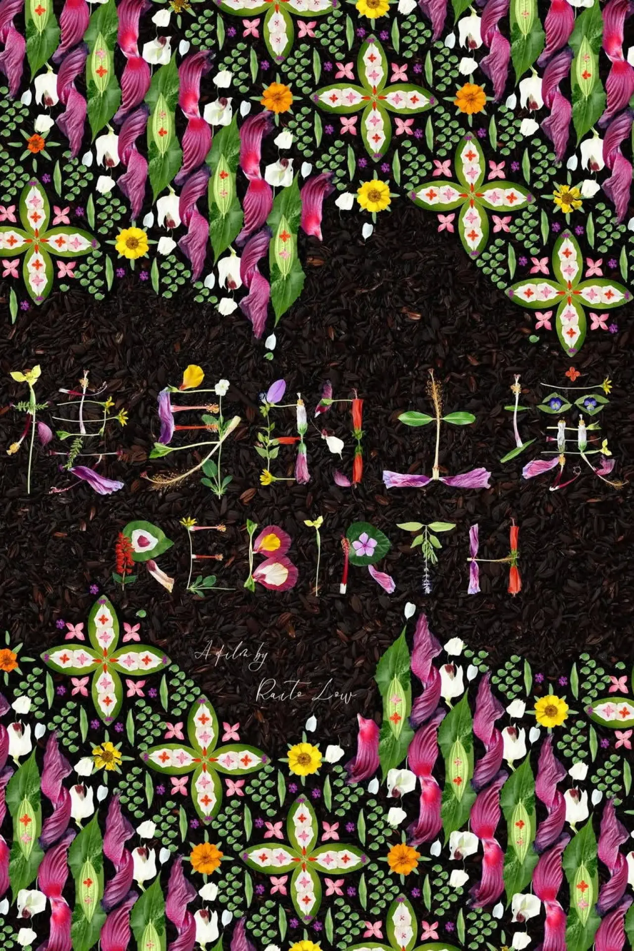 Movie poster "Rebirth"