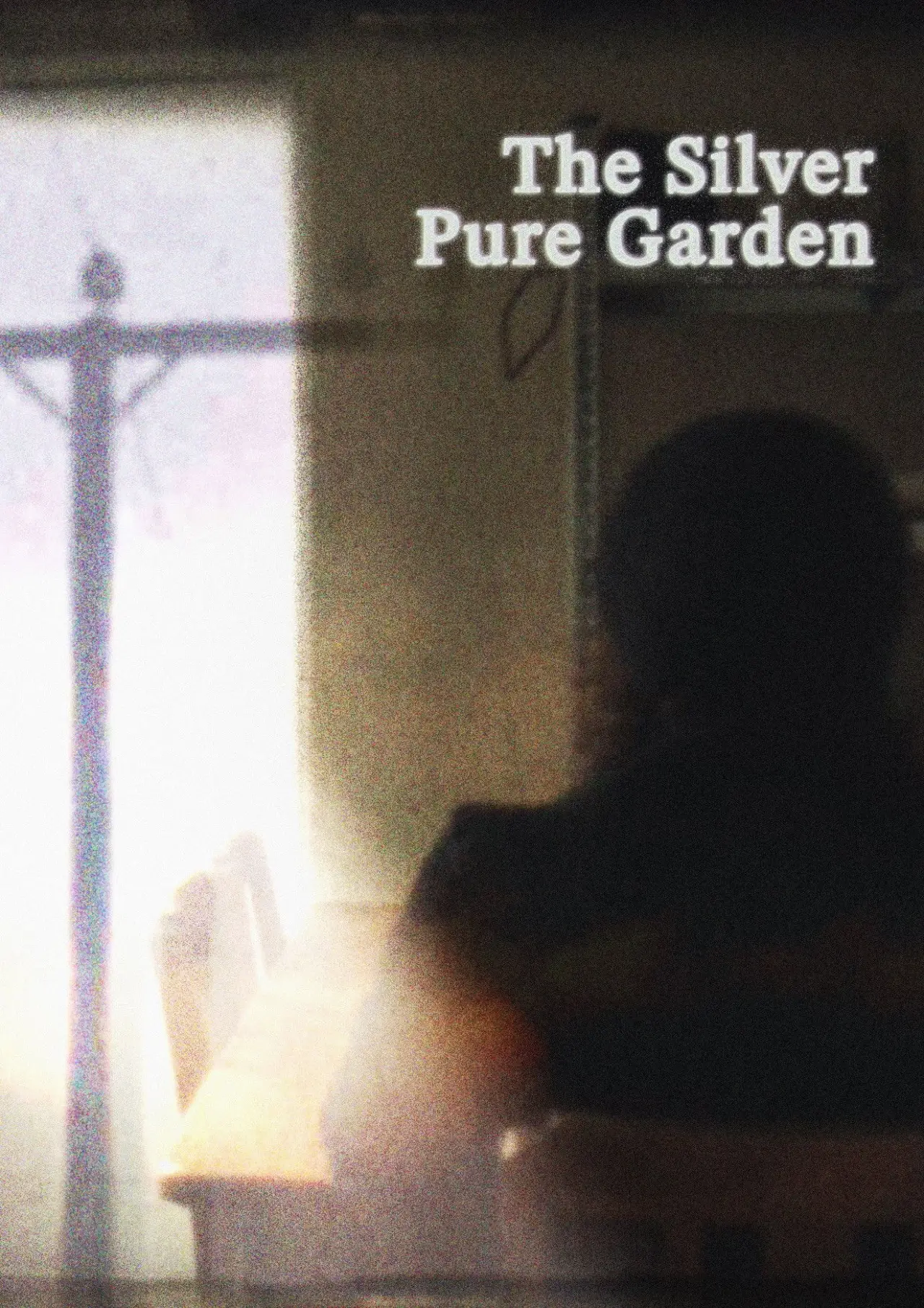 Movie poster "The Silver Pure Garden"