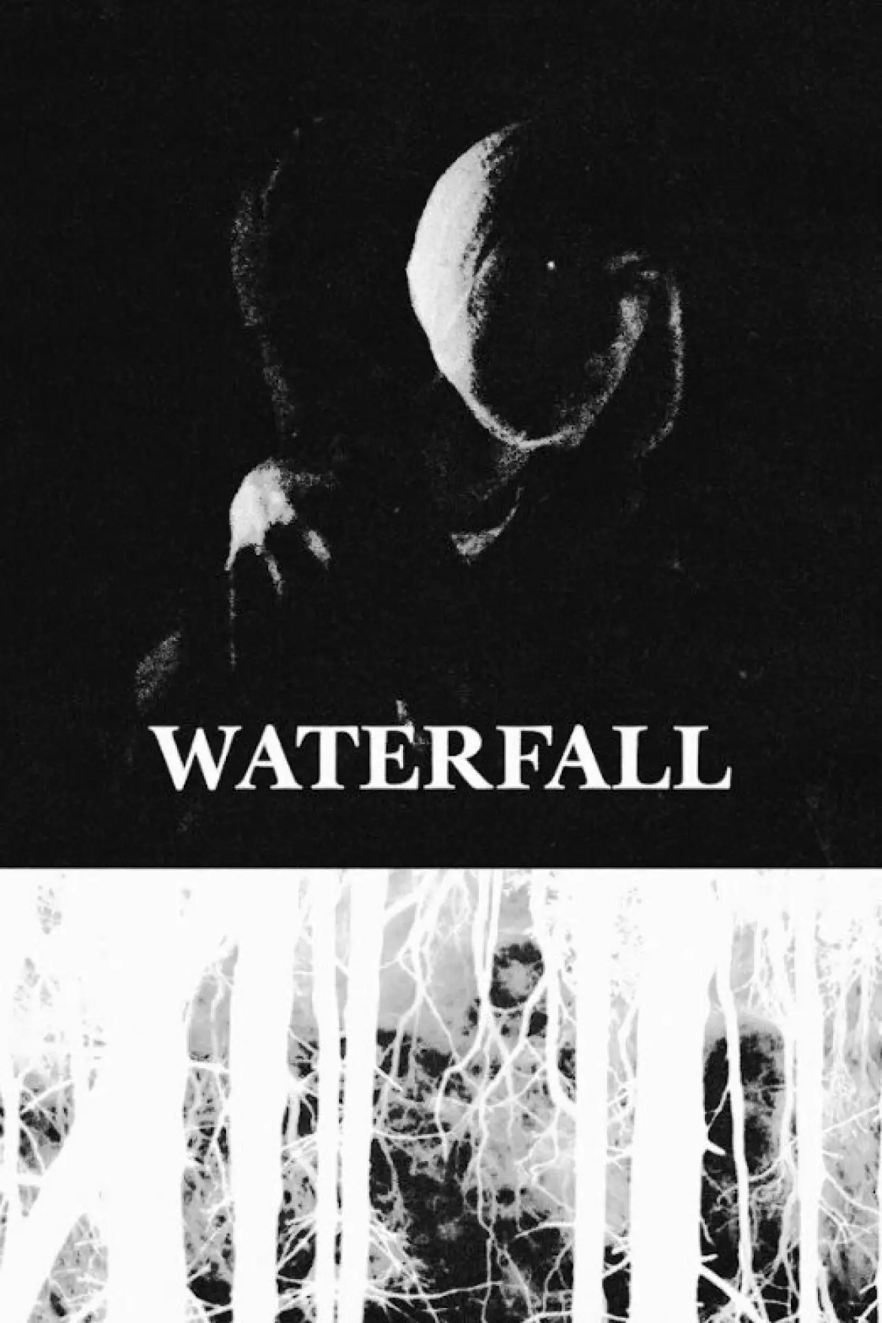 Movie poster "Waterfall"