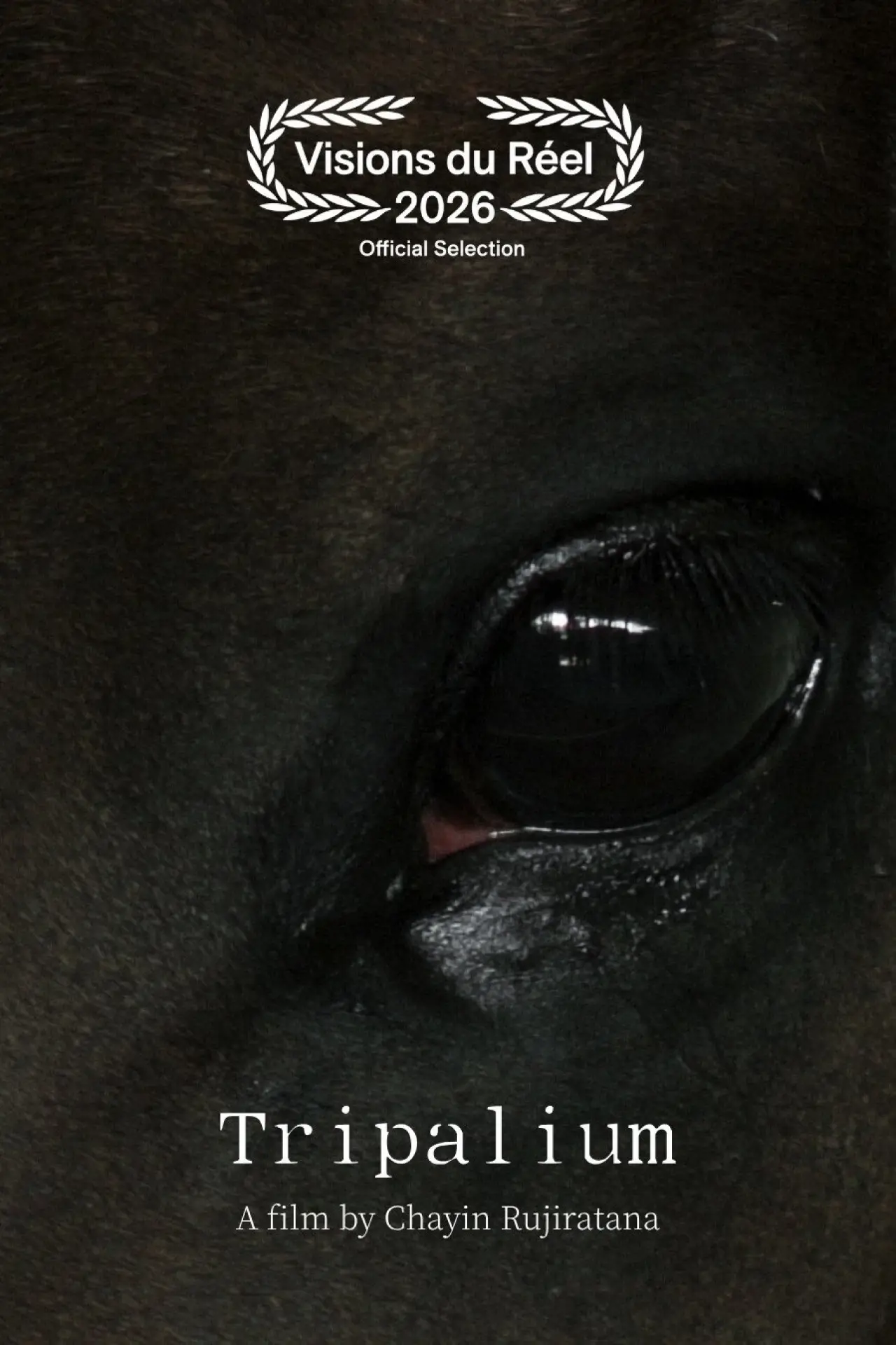 Movie poster "Tripalium"