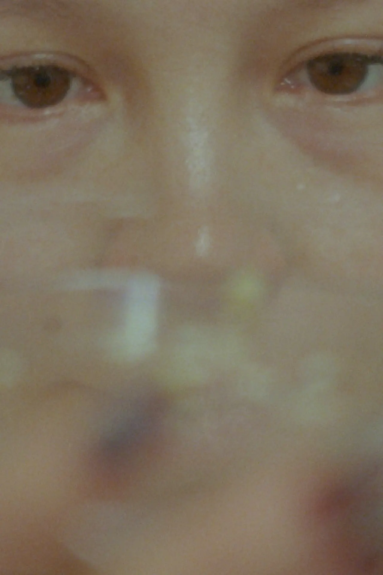 Movie poster "Living Containers"