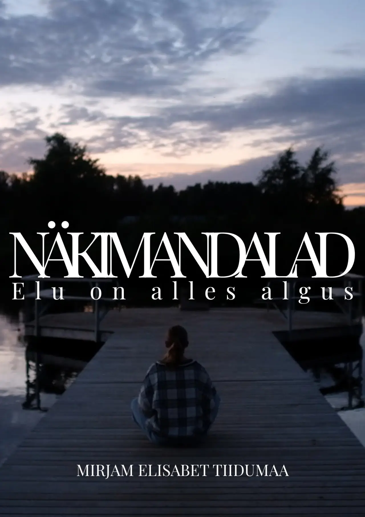 Movie poster "Nixieland"