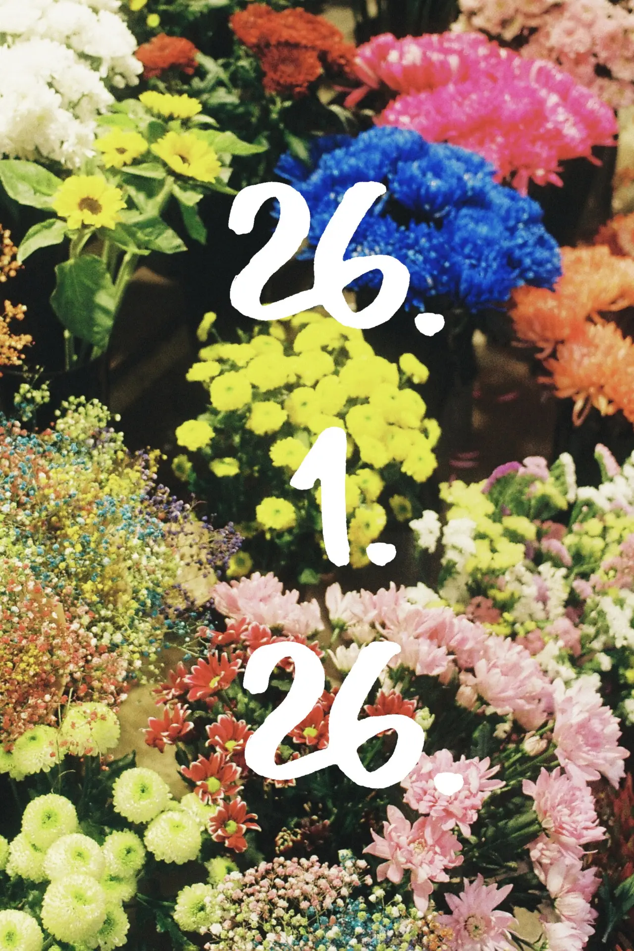 Movie poster "26.1.26"