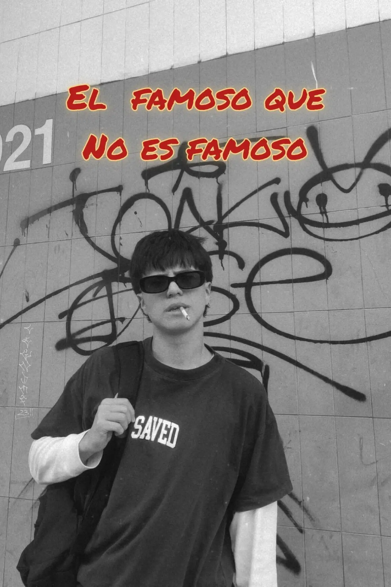 Movie poster "The celebrity who isn