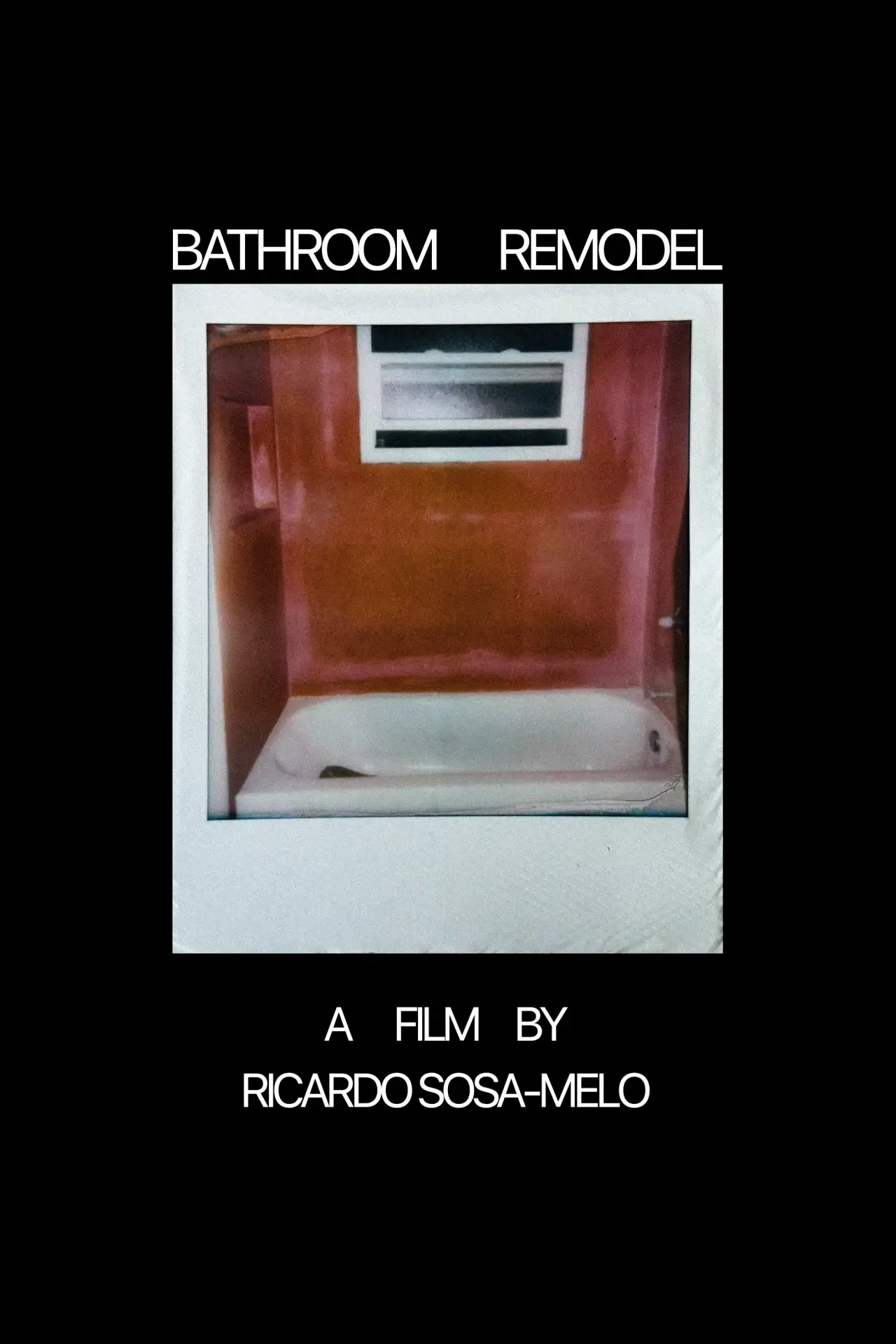 Movie poster "Bathroom Remodel"