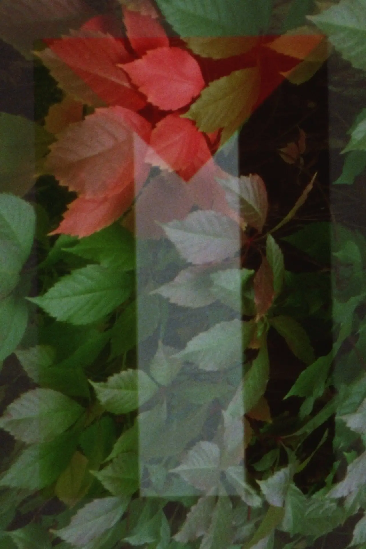 Movie poster "In Spite of Hell"