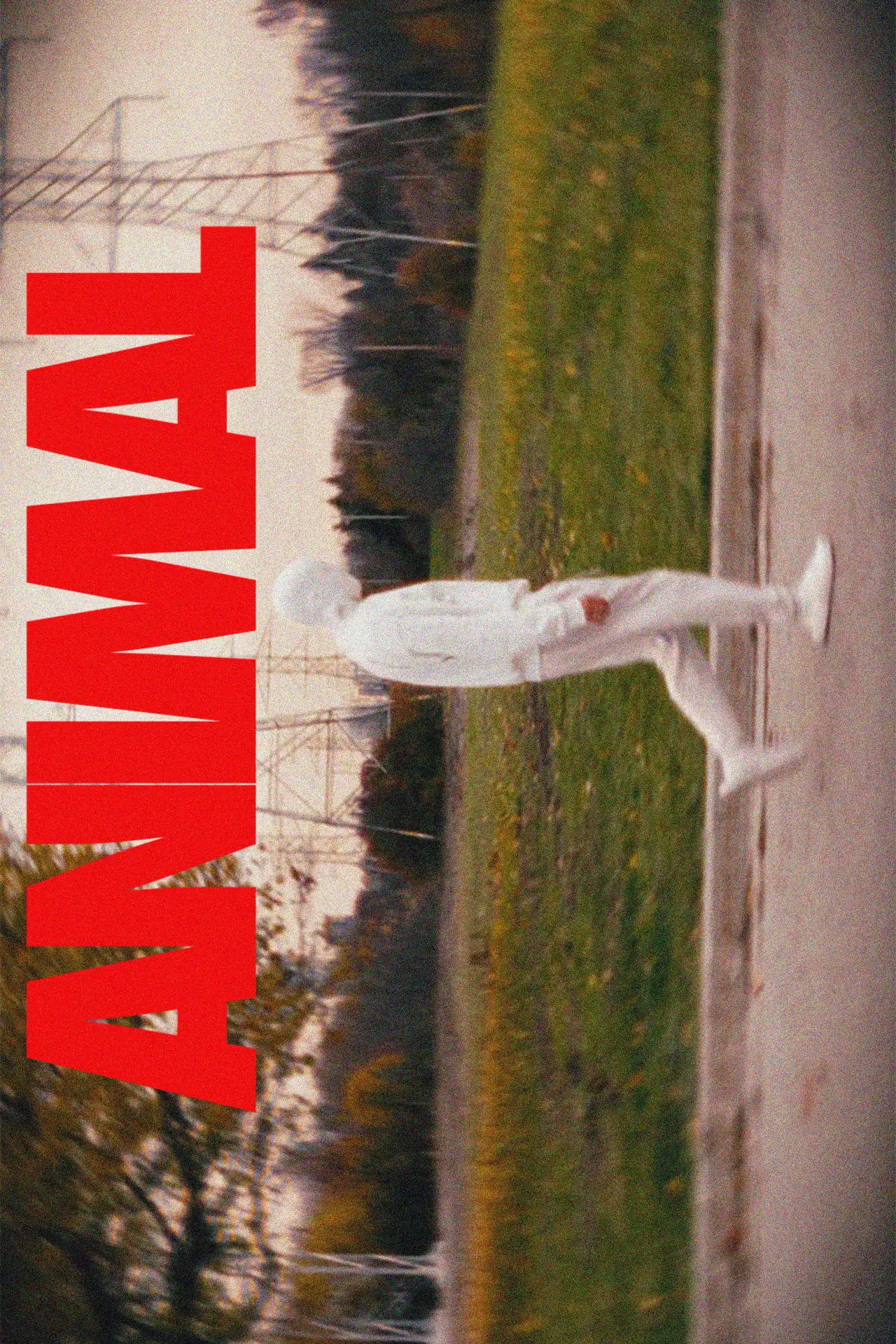 Movie poster "ANIMAL"