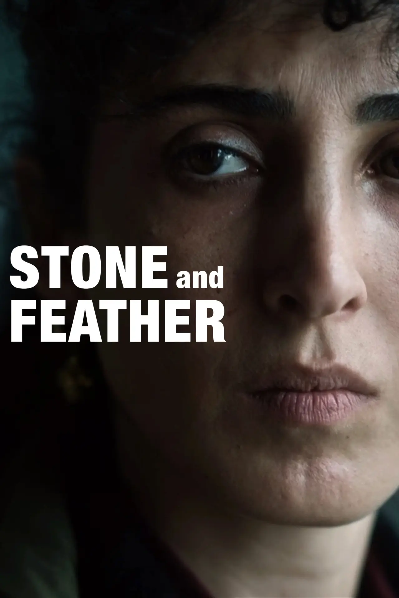 Movie poster "Stone and Feather"