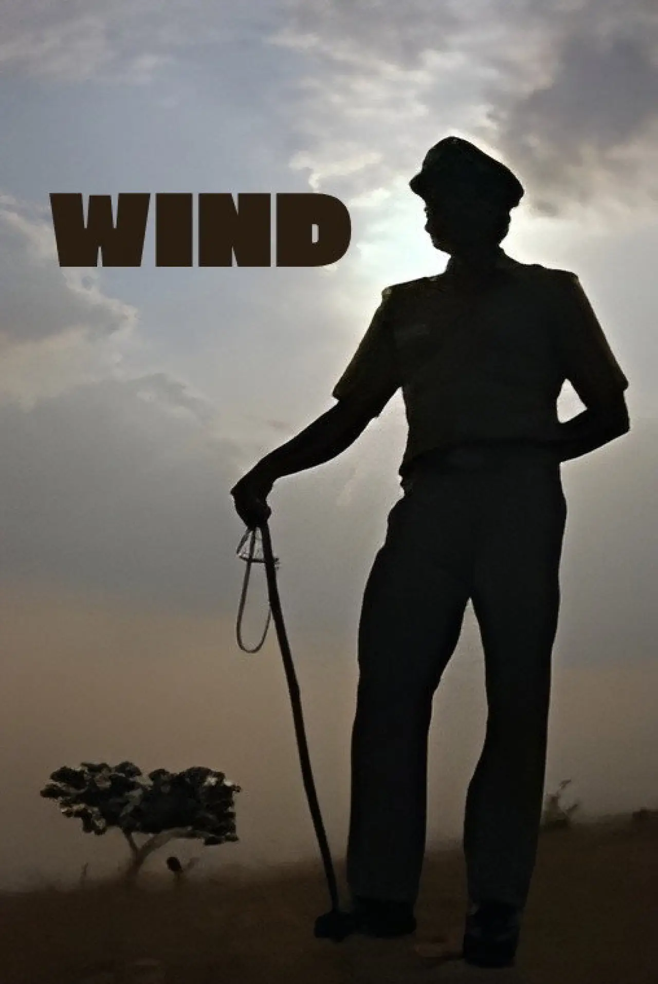 Movie poster "Wind"