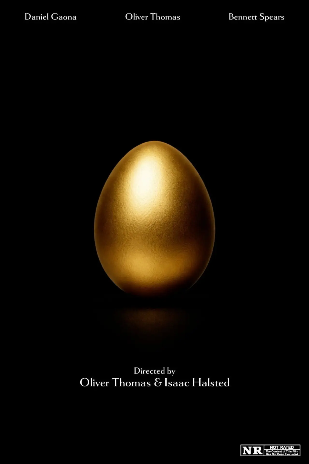 Movie poster "The Heir of Hildegard"