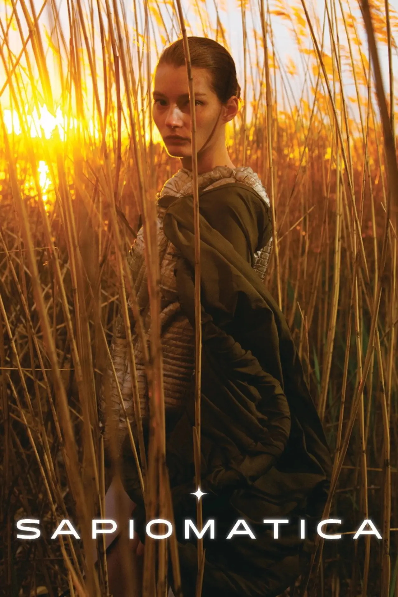 Movie poster "Sapiomatica"