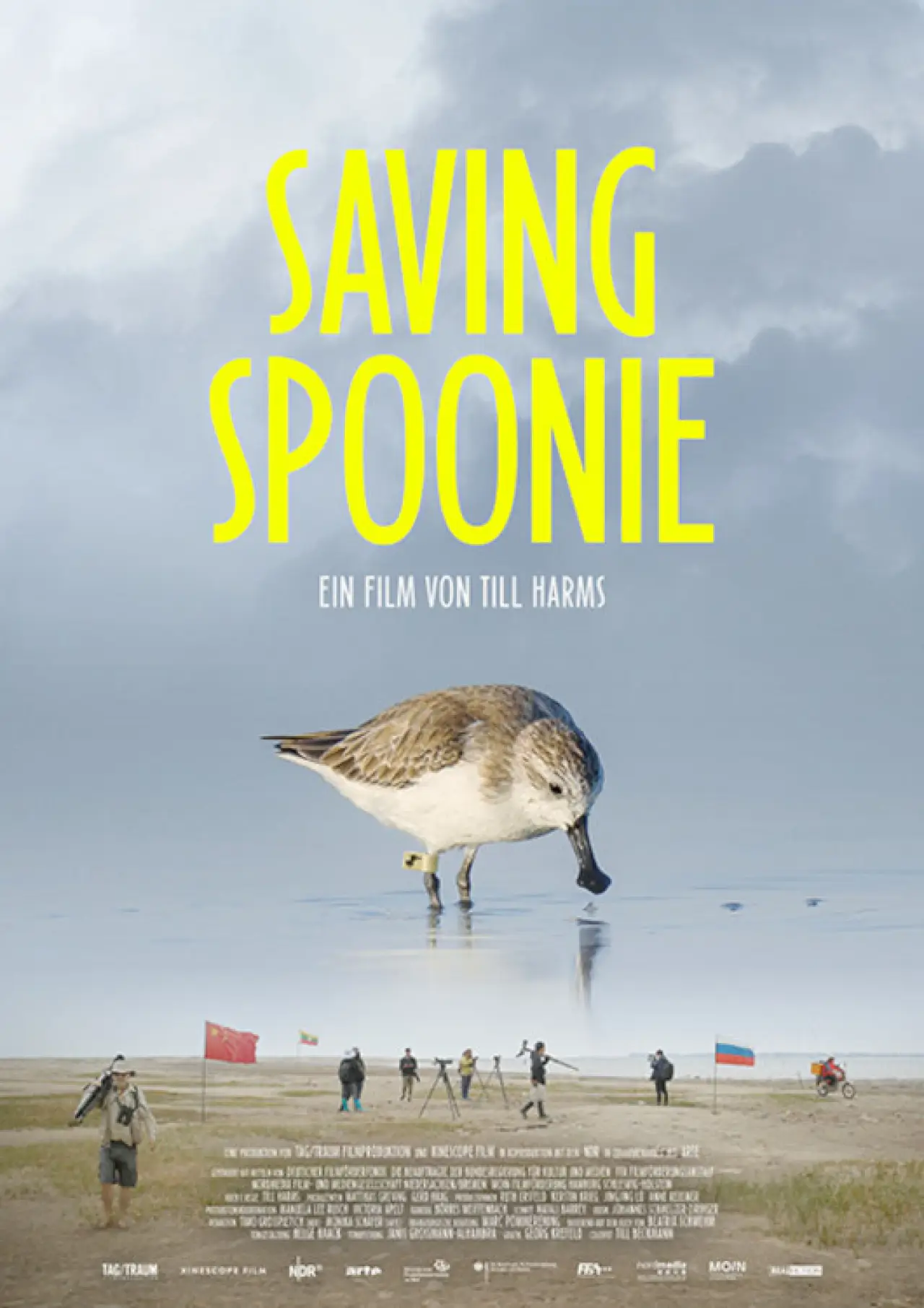 Movie poster "Saving Spoonie"