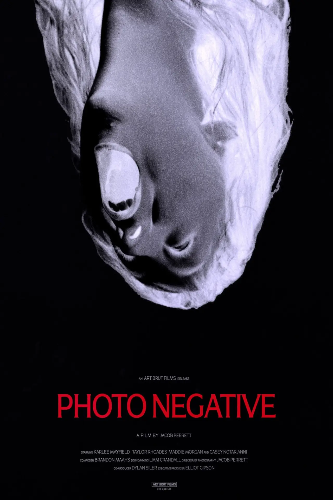 Movie poster "Photo Negative"