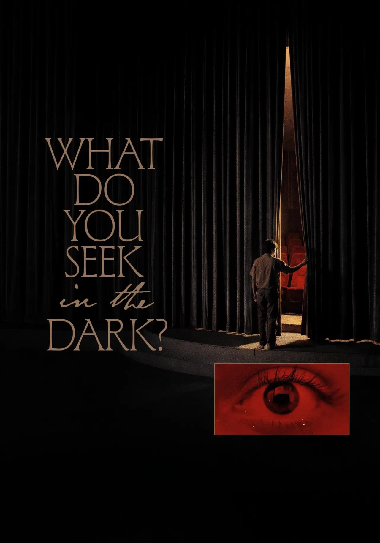 Movie poster "What Do You Seek in the Dark?"