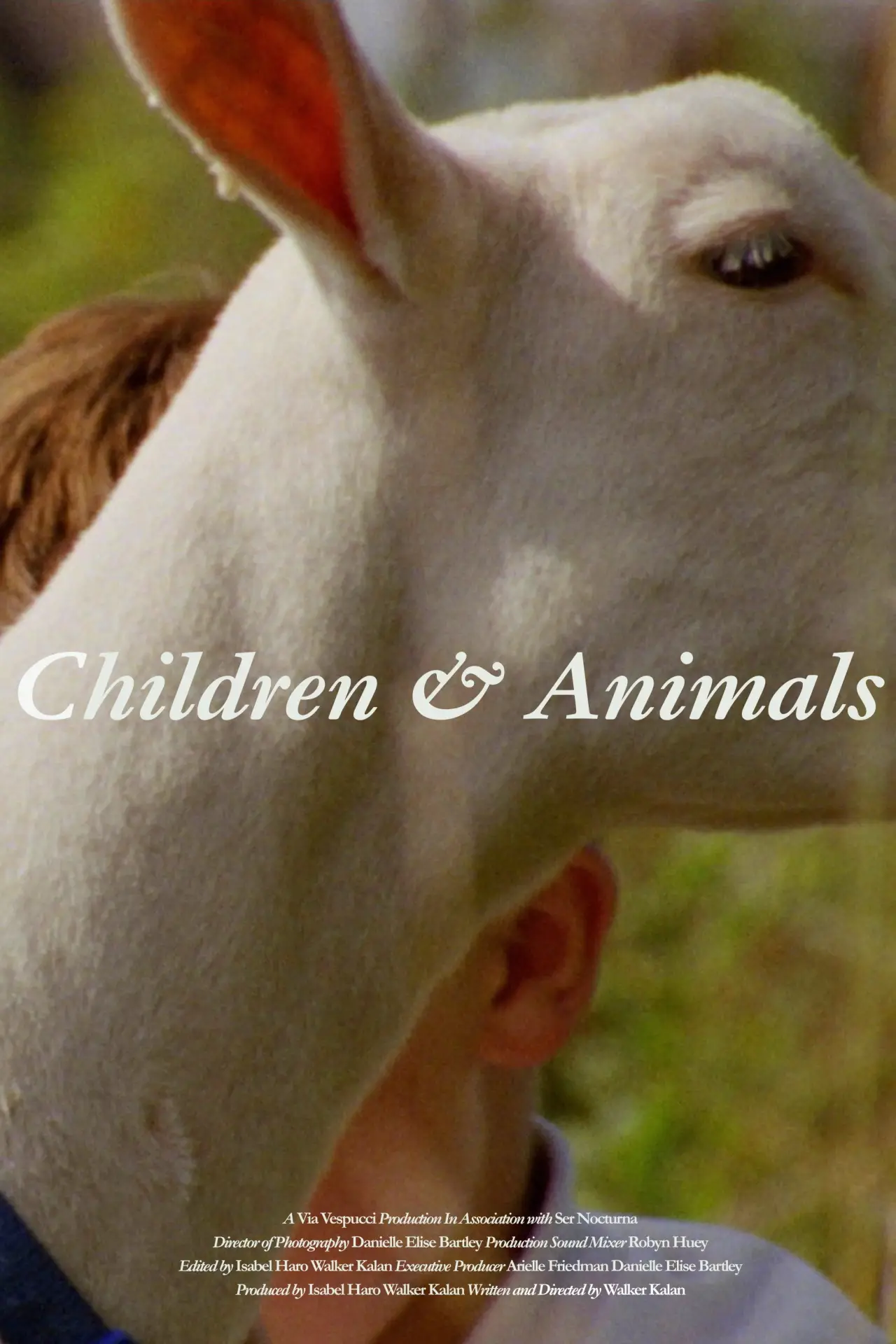 Movie poster "Children & Animals"
