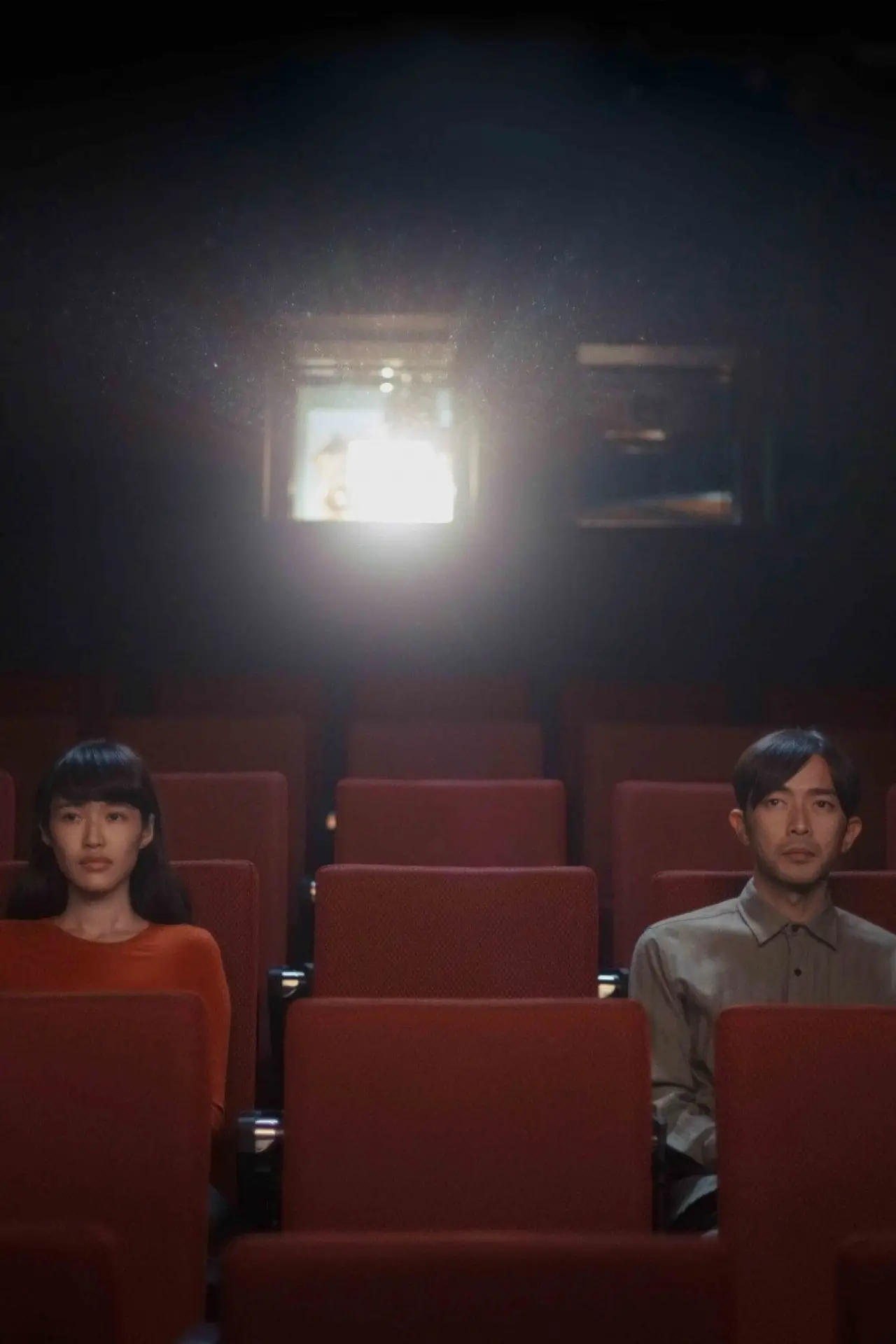 Movie poster "The Moviegoer"