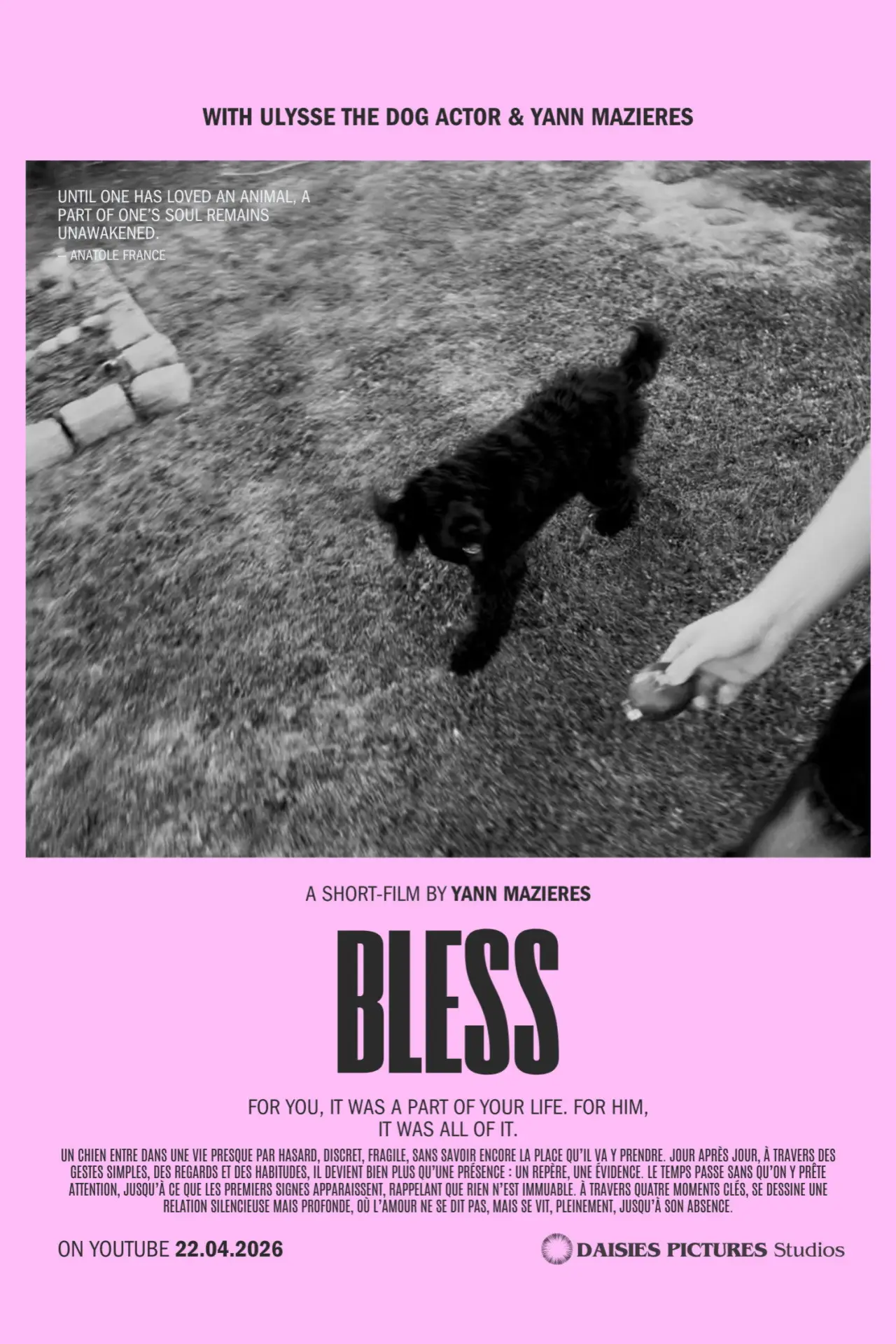 Movie poster "Bless"