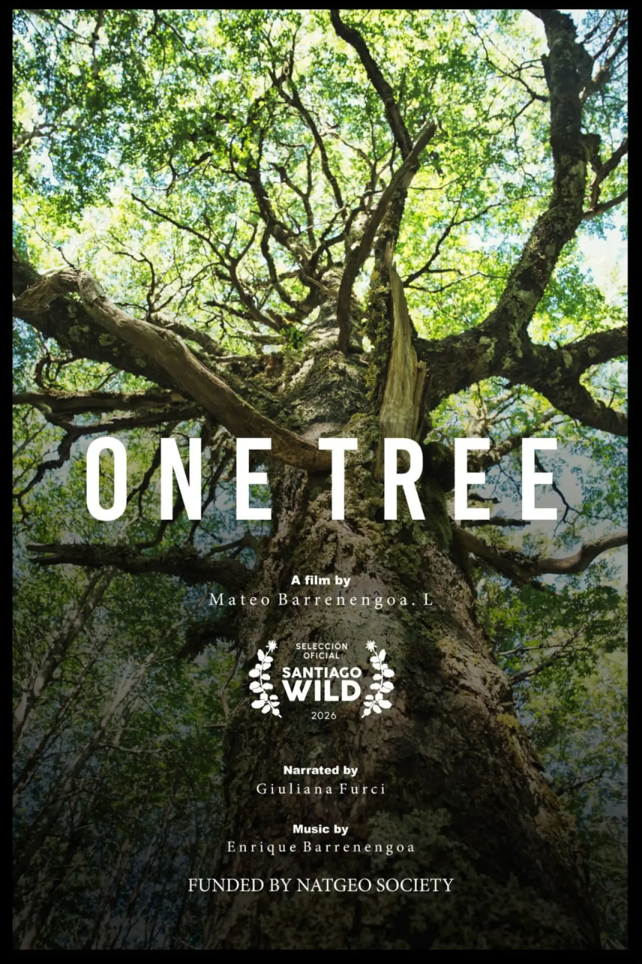 Movie poster "Un Árbol"
