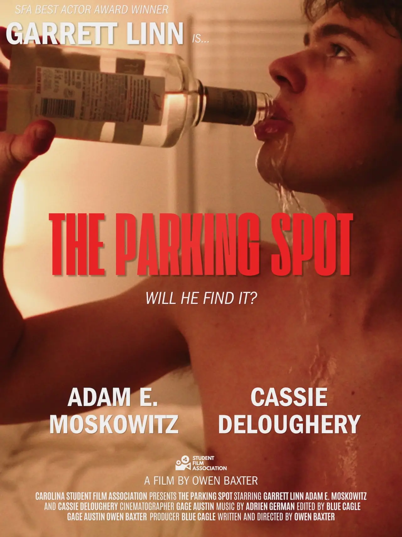 Movie poster "The Parking Spot"