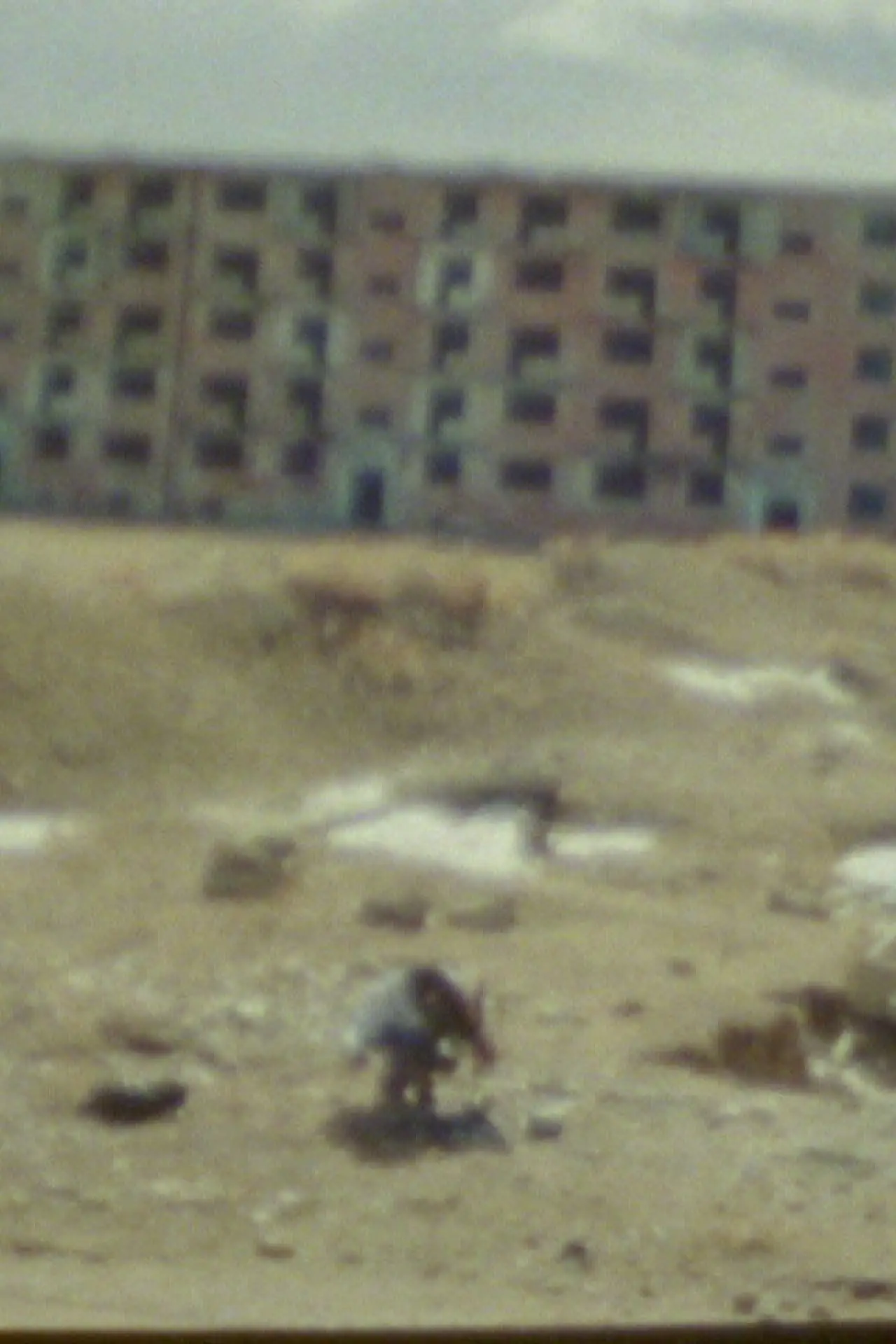 Movie poster "Landscape Psychosis"