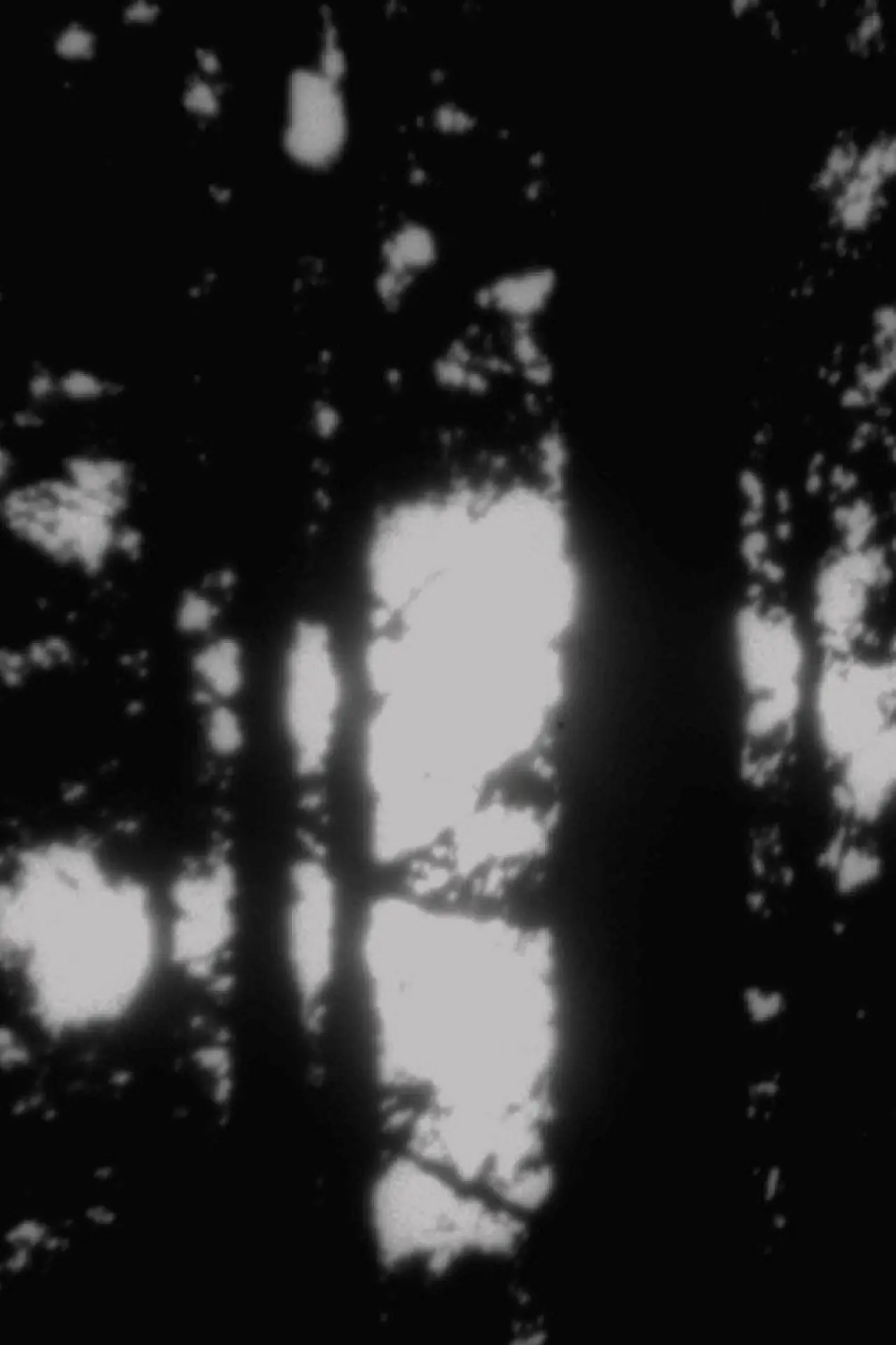 Movie poster "fotofiction"