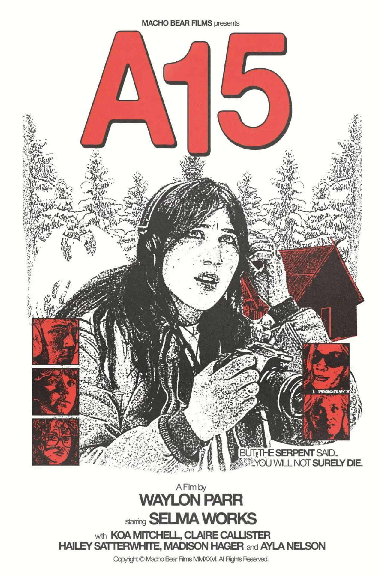 Movie poster "A15"