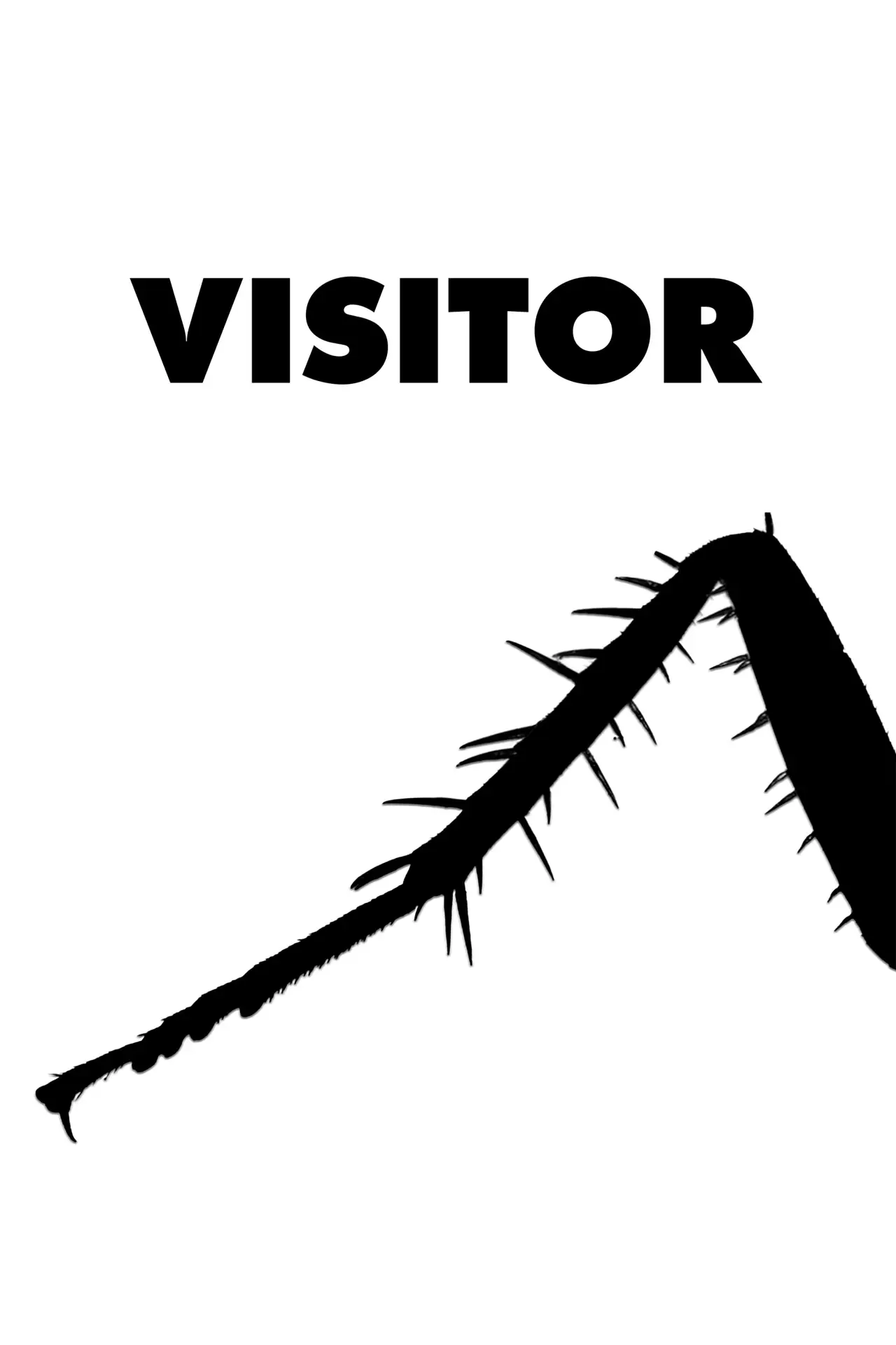 Movie poster "Visitor"