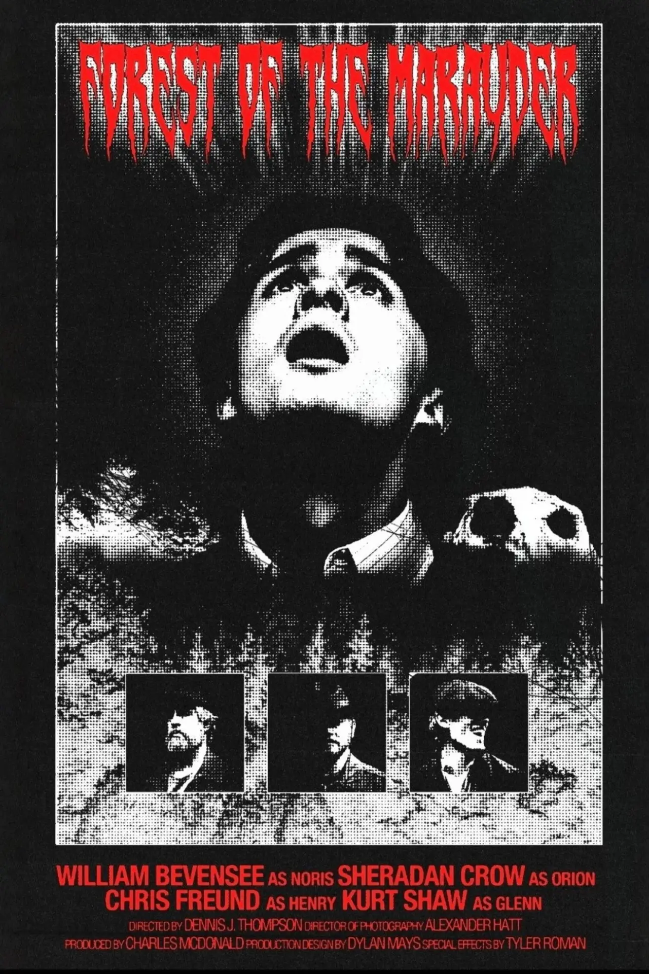 Movie poster "Forest of the Marauder"