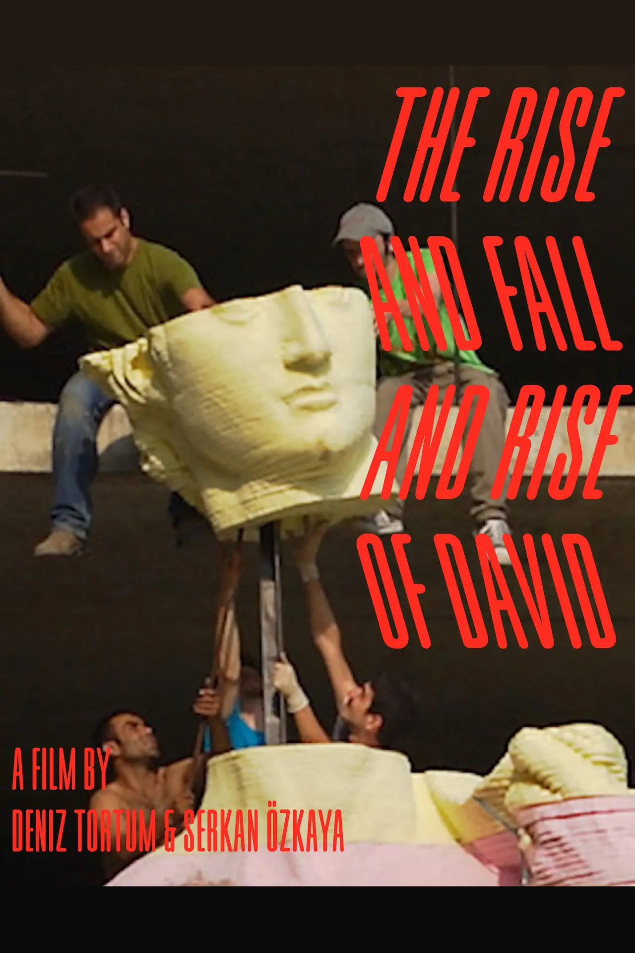 Movie poster "The Rise and Fall and Rise of David"