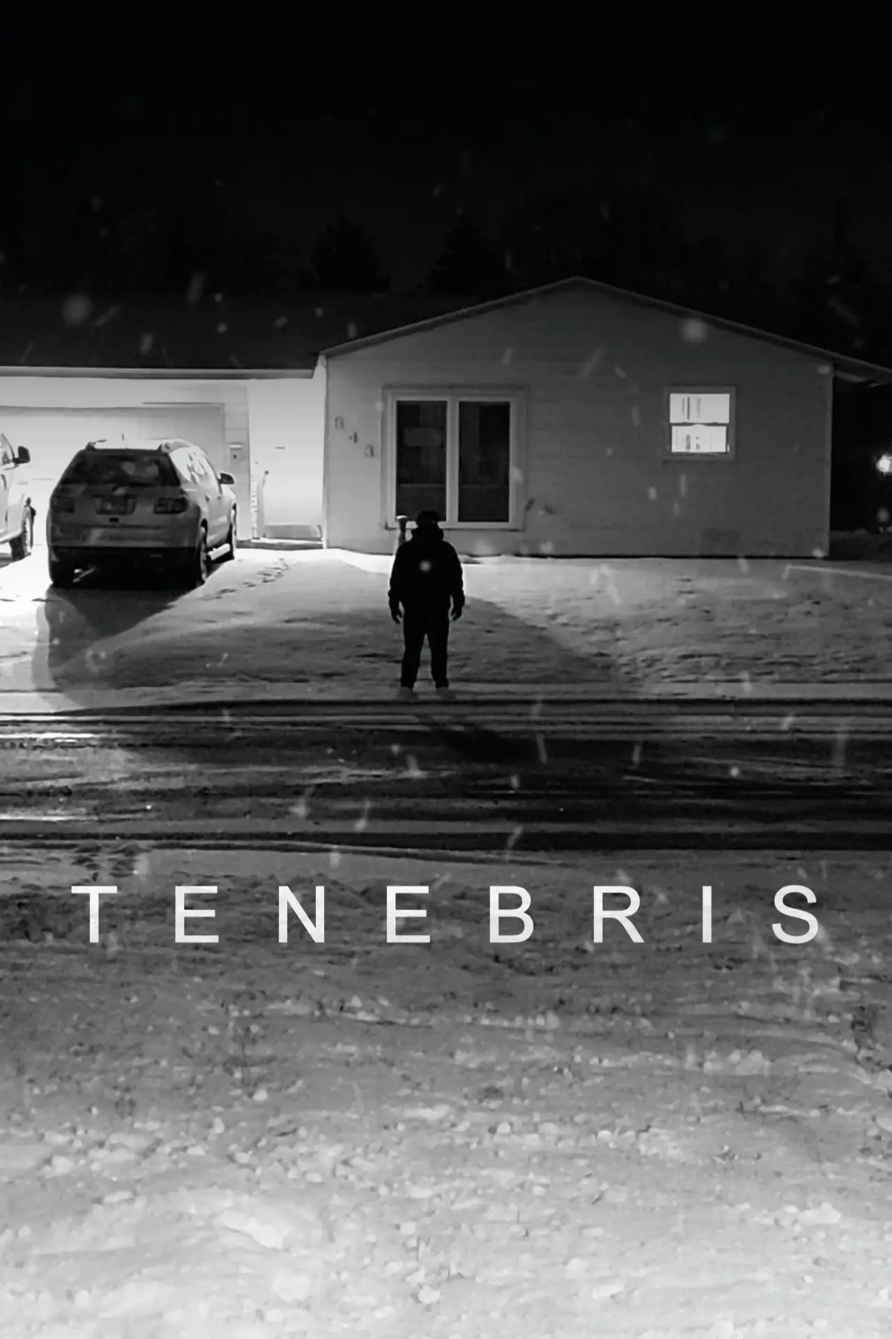 Movie poster "Tenebris"