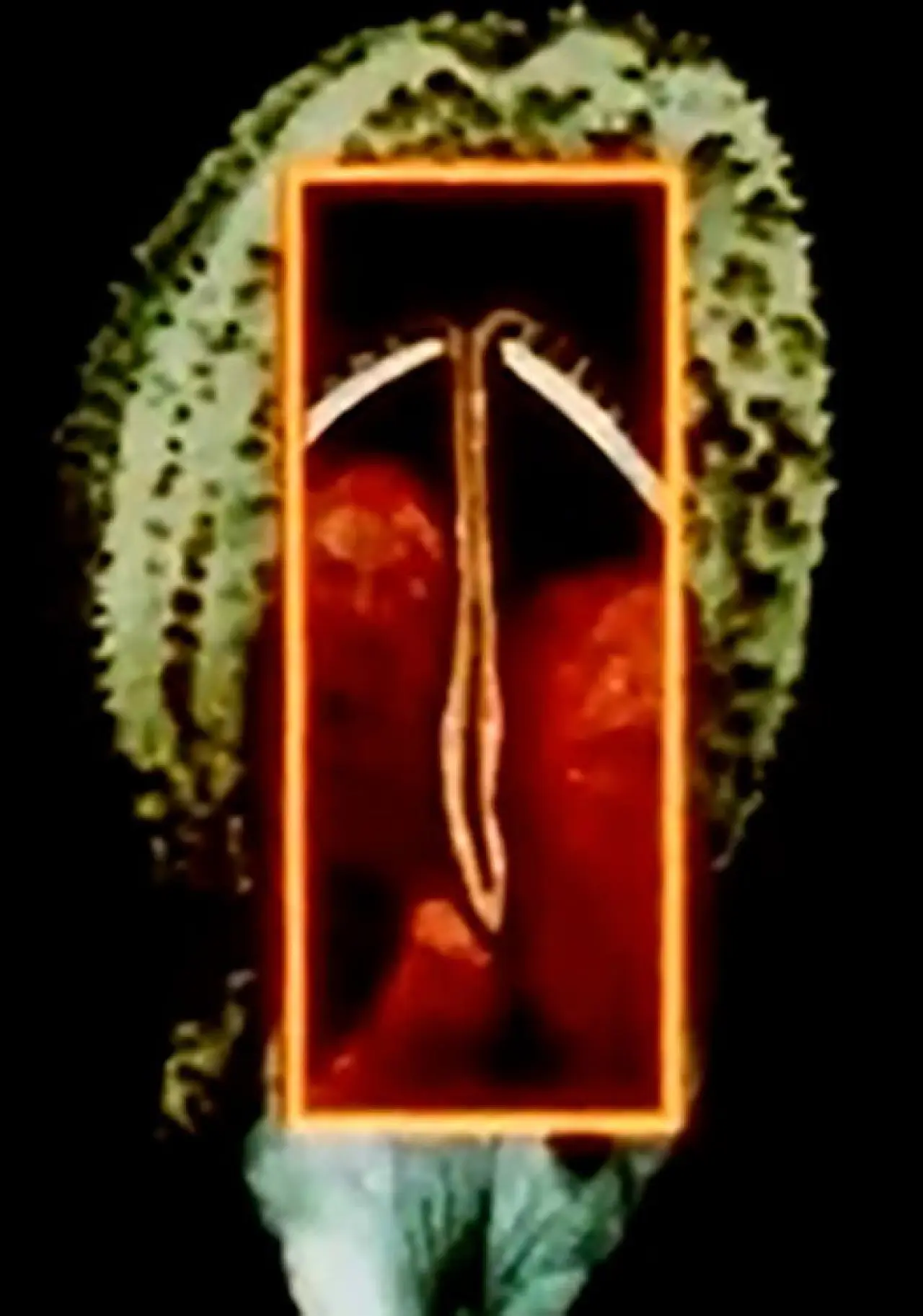 Movie poster "Maternal Language Part 1: The Construction of Maternal Form & its Adaptation to Absent Sexual Vitality"