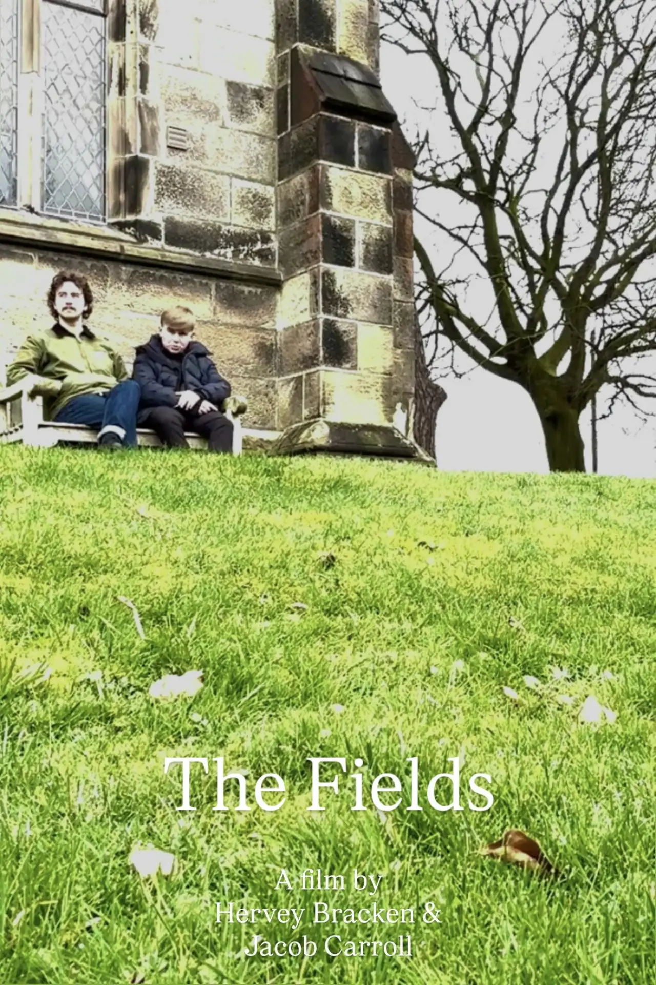 Movie poster "The Fields"