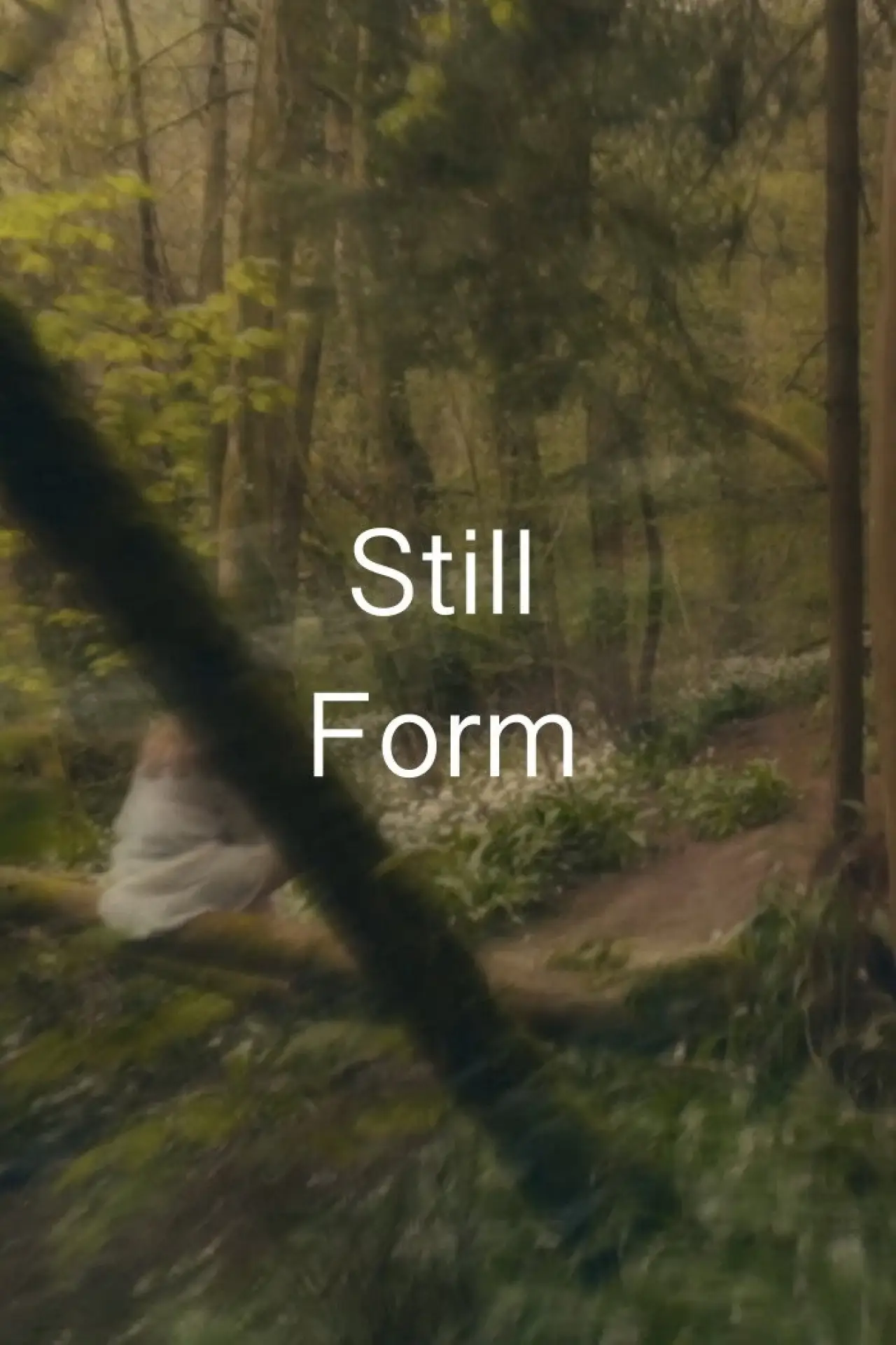 Movie poster "Still Form"