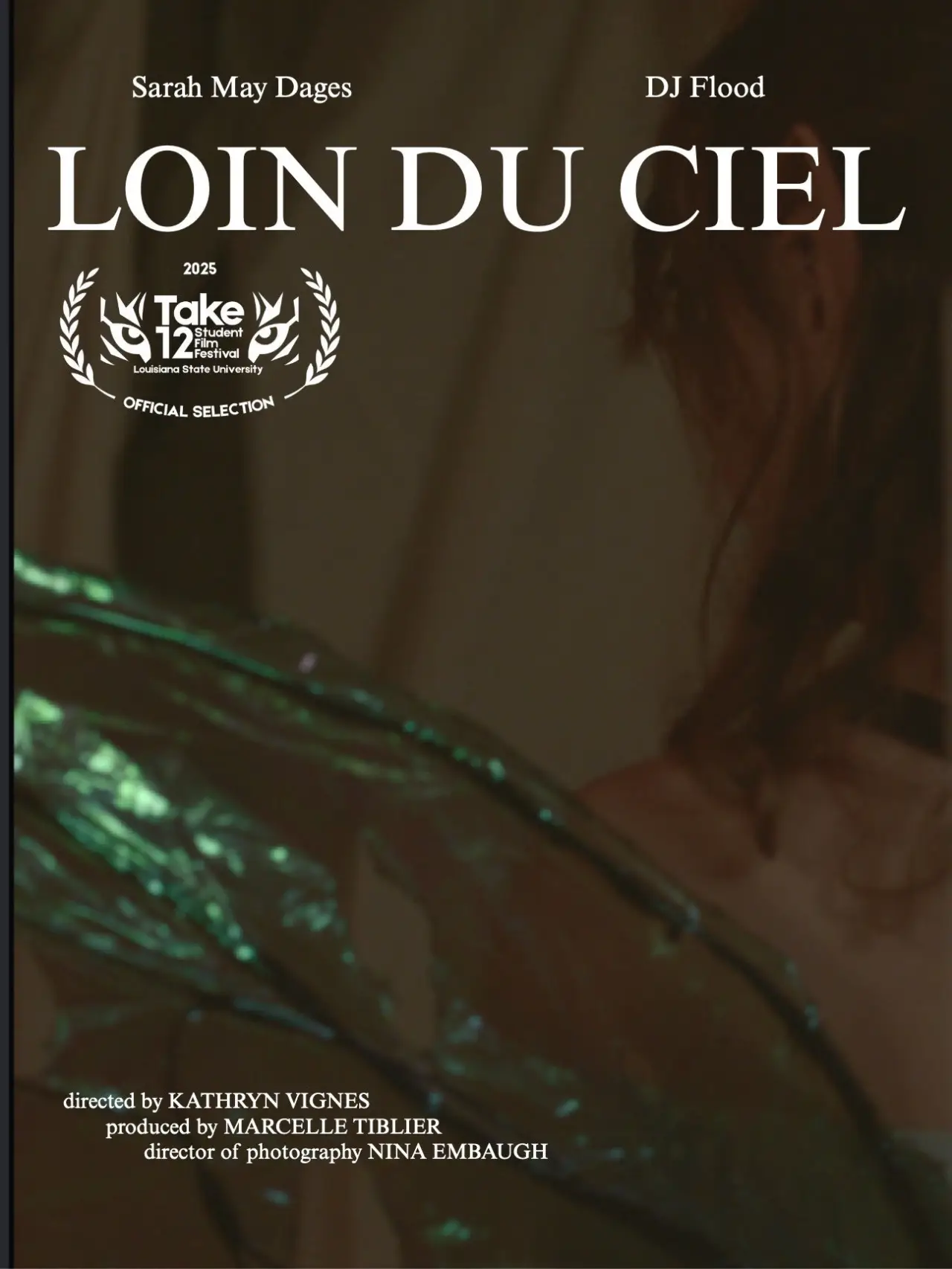 Movie poster "Loin Du Ciel"